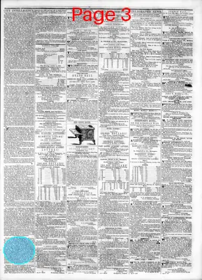 Page thumbnail for Daily American Organ