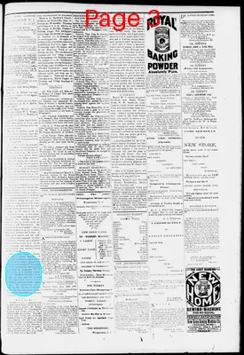 Page thumbnail for Orange County Observer