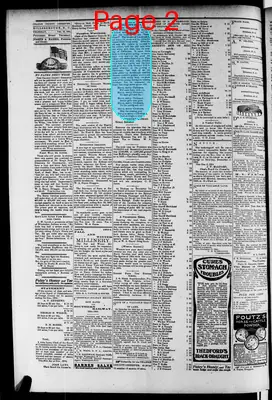 Page thumbnail for Orange County Observer