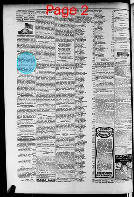 Page thumbnail for Orange County Observer