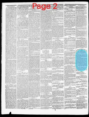 Page thumbnail for The Tri Weekly Standard
