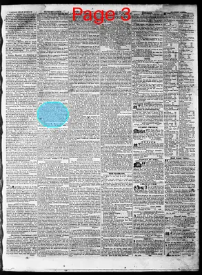 Page thumbnail for The North Carolina Standard