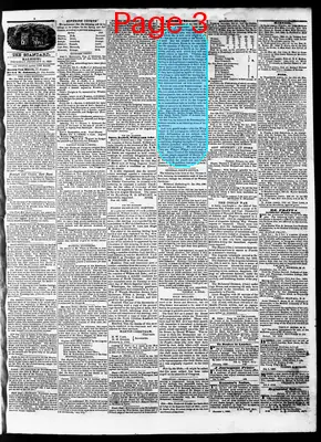 Page thumbnail for The North Carolina Standard