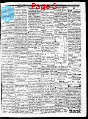 Page thumbnail for The North Carolina Standard