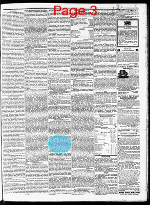 Page thumbnail for The North Carolina Standard