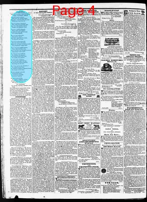 Page thumbnail for The North Carolina Standard