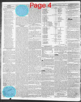 Page thumbnail for The North Carolina Standard