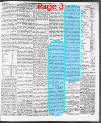 Page thumbnail for The North Carolina Standard