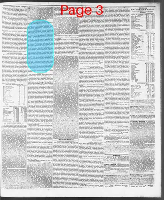 Page thumbnail for The North Carolina Standard