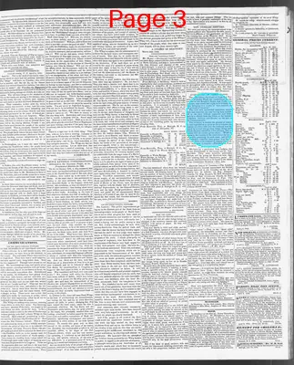 Page thumbnail for The North Carolina Standard