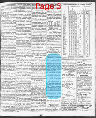 Page thumbnail for The North Carolina Standard