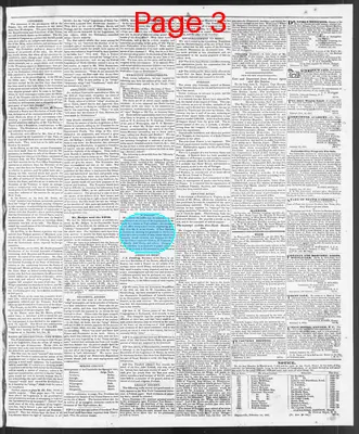 Page thumbnail for The North Carolina Standard