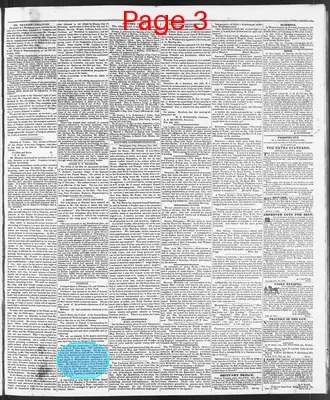 Page thumbnail for The North Carolina Standard