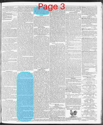 Page thumbnail for The North Carolina Standard