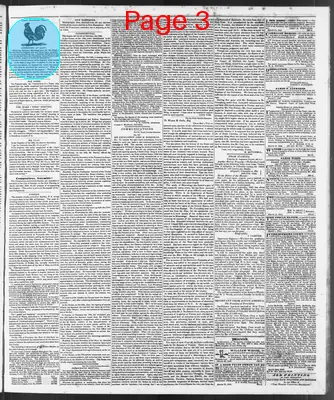 Page thumbnail for The North Carolina Standard