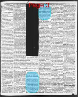 Page thumbnail for The North Carolina Standard