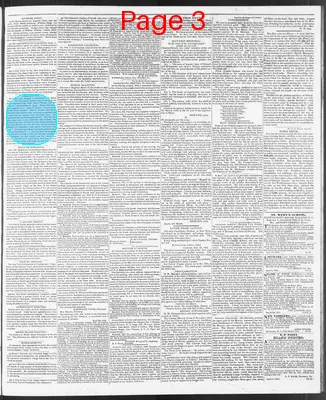 Page thumbnail for The North Carolina Standard