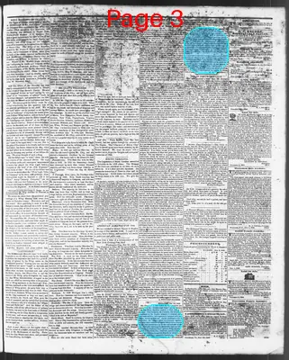 Page thumbnail for The North Carolina Standard