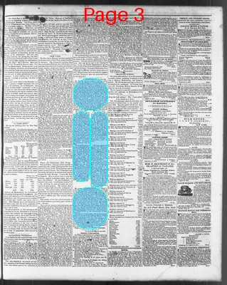 Page thumbnail for The North Carolina Standard