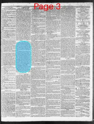 Page thumbnail for The North Carolina Standard