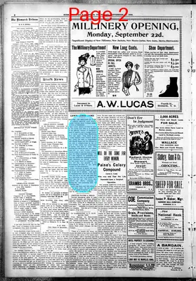 Page thumbnail for Bismarck Daily Tribune