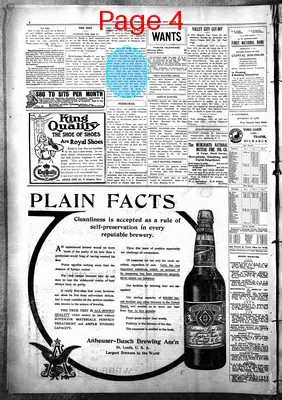 Page thumbnail for Bismarck Daily Tribune