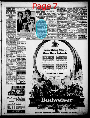 Page thumbnail for The Bismarck Tribune
