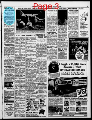 Page thumbnail for The Bismarck Tribune