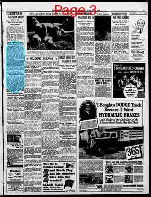 Page thumbnail for The Bismarck Tribune