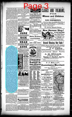 Page thumbnail for Bismarck Tribune