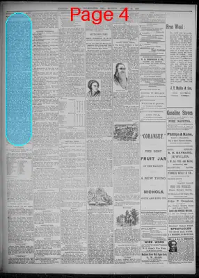 Page thumbnail for Evening Journal