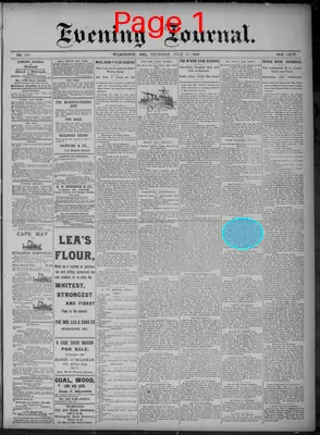 Page thumbnail for Evening Journal
