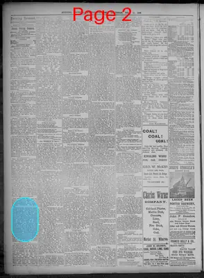 Page thumbnail for Evening Journal