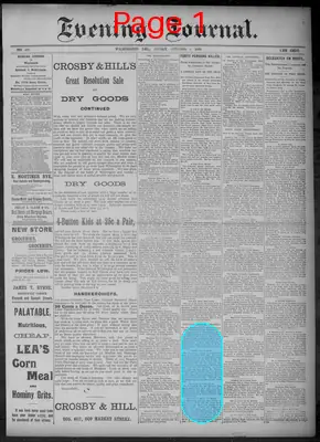 Page thumbnail for Evening Journal