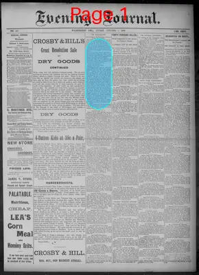 Page thumbnail for Evening Journal