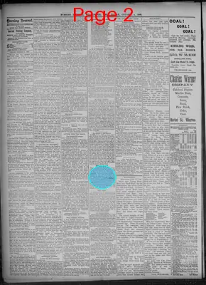 Page thumbnail for Evening Journal