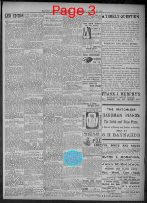 Page thumbnail for Evening Journal