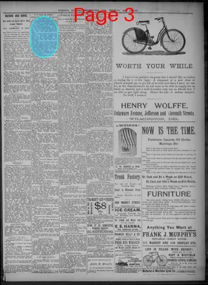 Page thumbnail for Evening Journal