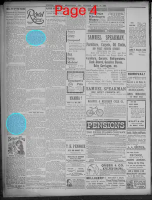 Page thumbnail for Evening Journal