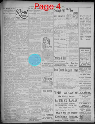 Page thumbnail for Evening Journal