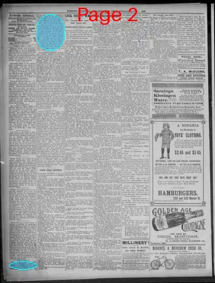 Page thumbnail for Evening Journal