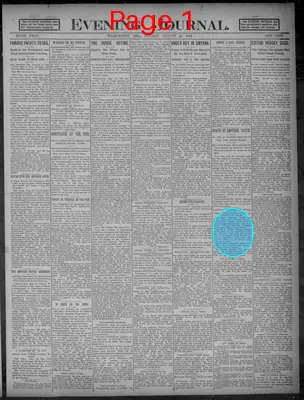 Page thumbnail for Evening Journal