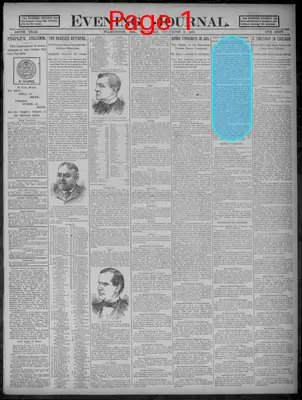Page thumbnail for Evening Journal