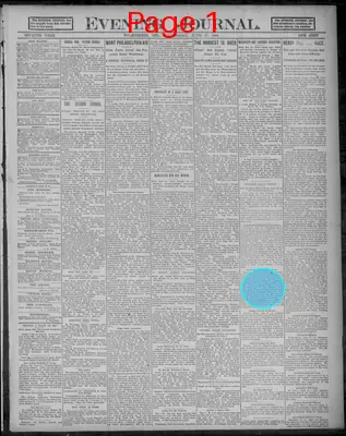 Page thumbnail for Evening Journal