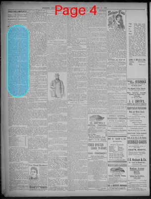 Page thumbnail for Evening Journal