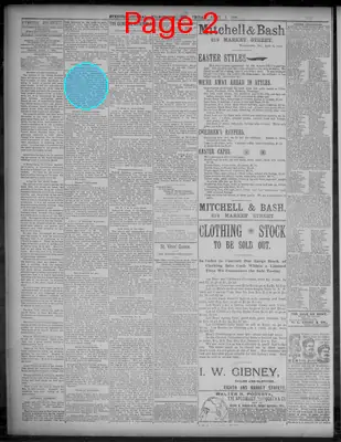 Page thumbnail for Evening Journal