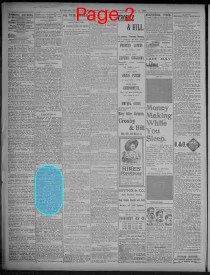 Page thumbnail for Evening Journal