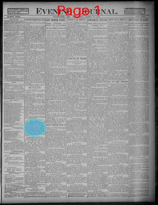 Page thumbnail for Evening Journal