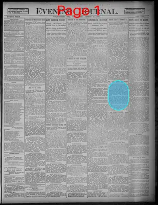 Page thumbnail for Evening Journal