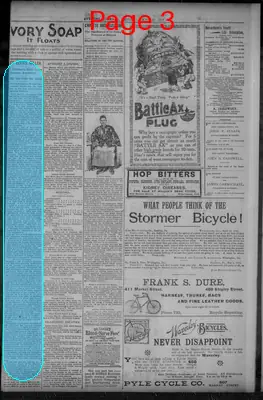Page thumbnail for Evening Journal